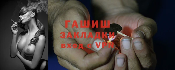 индика Алексеевка