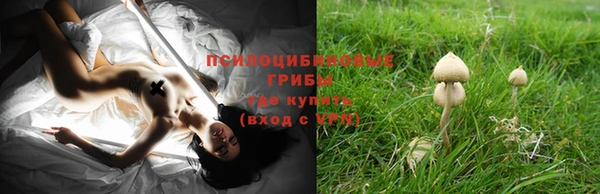 индика Алексеевка